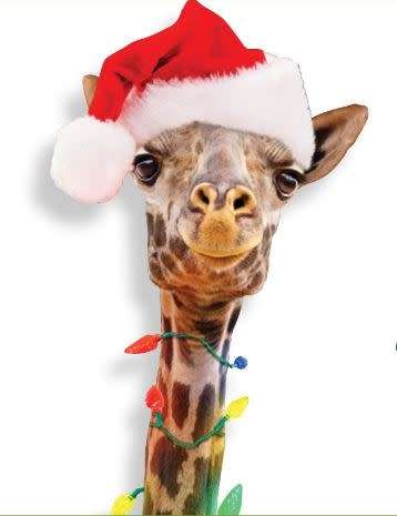 Holidays at the Zoo