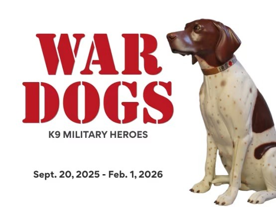 War Dogs: K9 Military Heroes